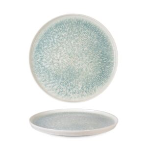 Plato Llano Toledo Asel