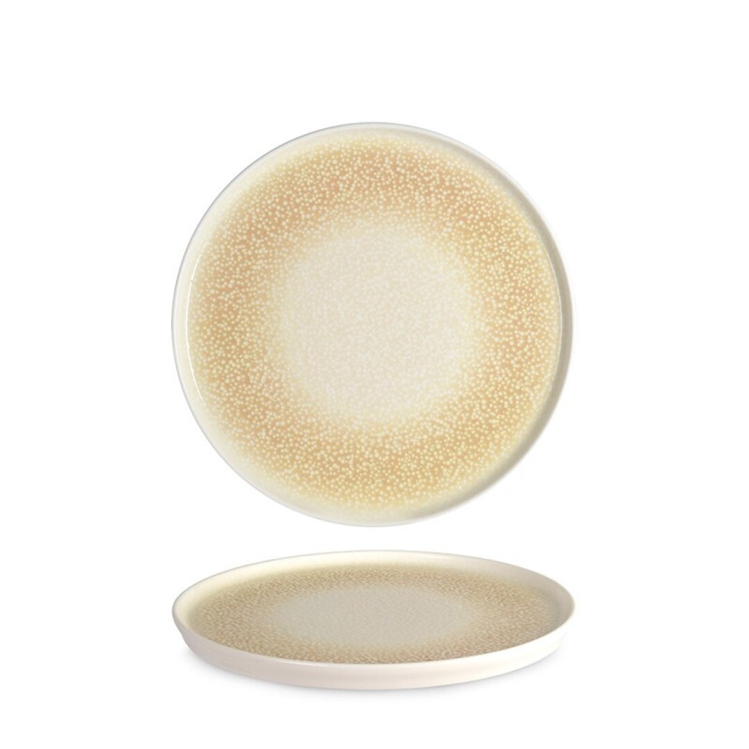 Plato Llano Toledo Dotti